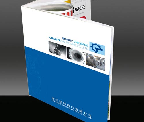 浙江超特閥門有限公司